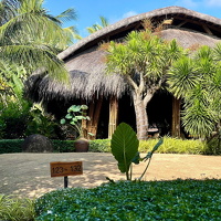 Resto (2)