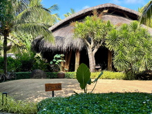 Resto (2)
