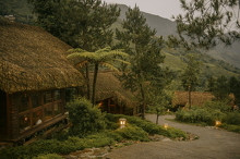 Bungalow