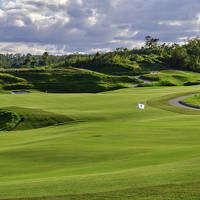 Green #8 and Green #9 (1)