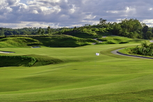 Green #8 and Green #9 (1)