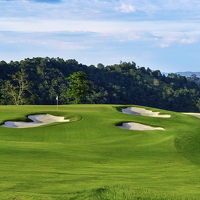 Green #11 (1)