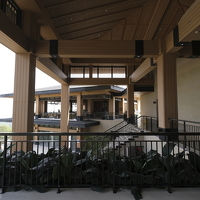  DSF1992