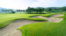 Anh 12
