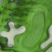 1661138034132 (729 visits) 1661138034132