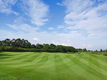 图片 20250308143748 (31 visits) 图片 20250308143748