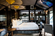 Copy of Wild NLee-24 (29 visits) Copy of Wild NLee-24