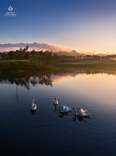 SPDT GC 10 SPDT GC 10